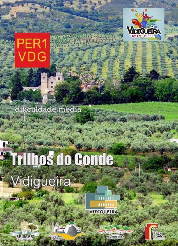 Casa Da Matriz Villa Vidigueira Luaran gambar